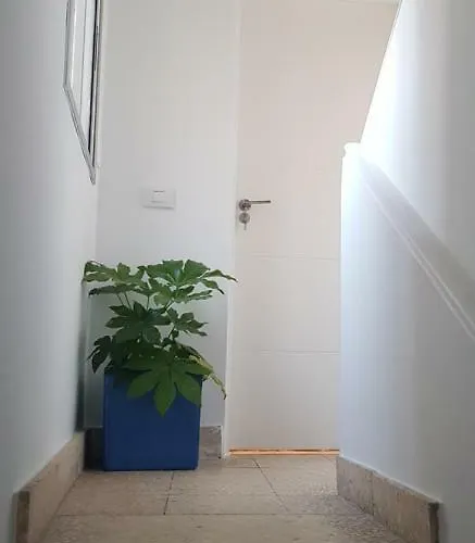 Bubu 2-b Séjour chez l'habitant Los Cristianos (Tenerife)